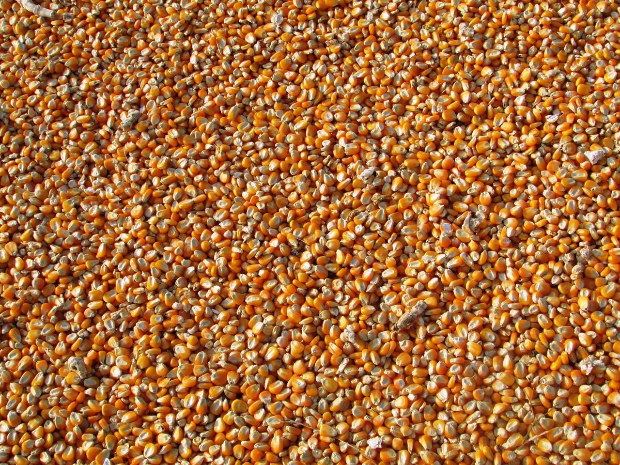 DMMU PREPARED TO MITIGATE EFFECTS OF DRY SPELL ON FOOD SECURITY ...