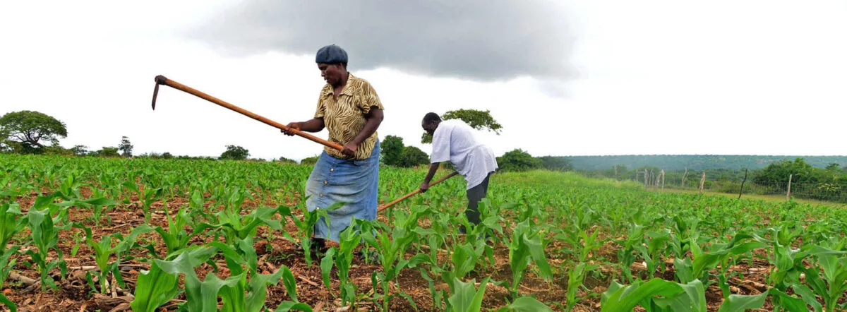 Do not scrap off FISP - Stakeholders - Lusaka Star