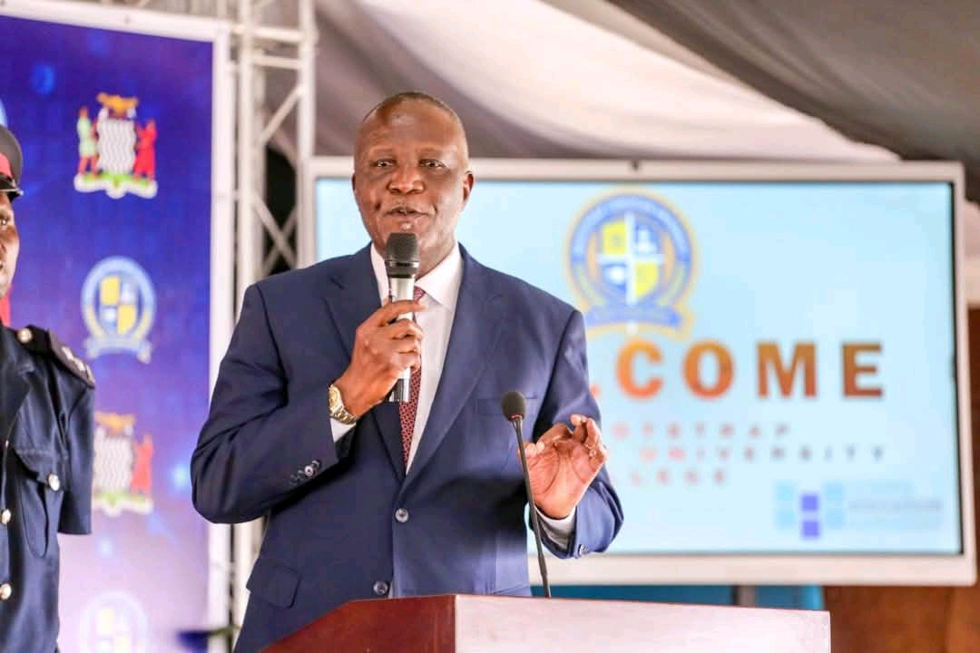 Government pledges to create job opportunities for graduates
