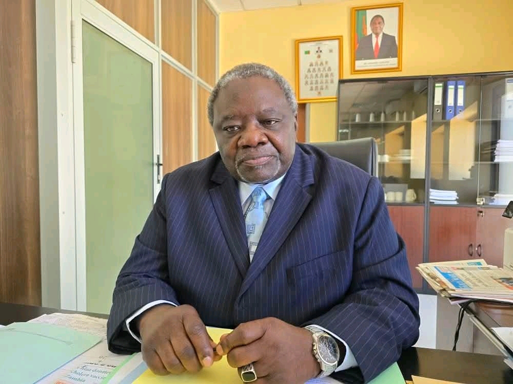 Zambia has enough diesel – Government