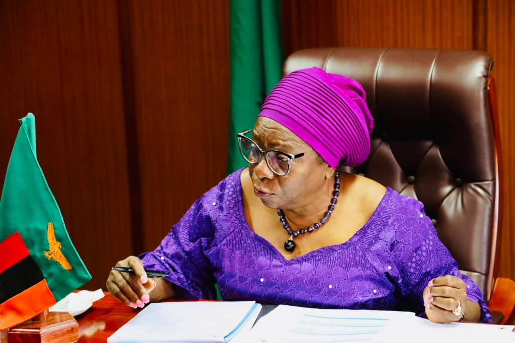 Attempts to hold state funeral without HH treasonous – VEEP