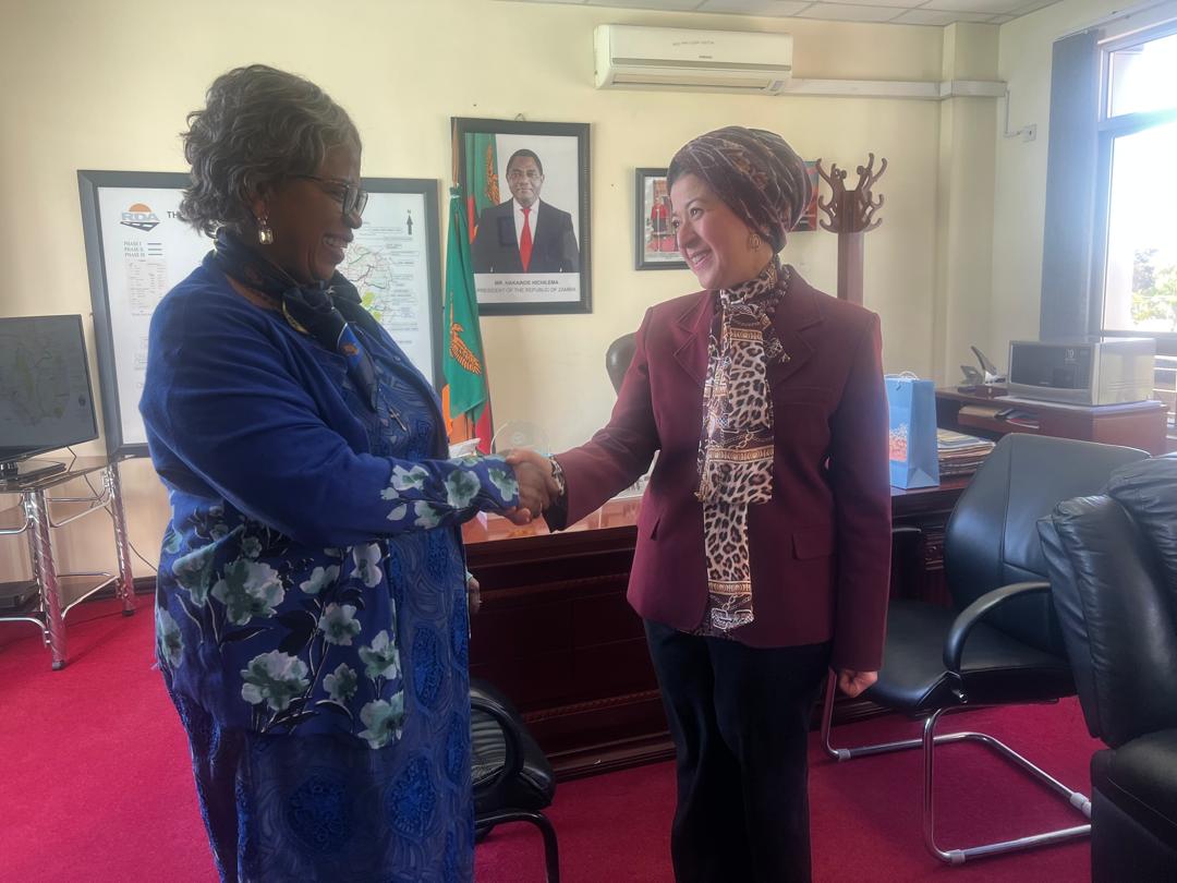 Egypt pledges to fulfill all Memoranda signed with Zambia