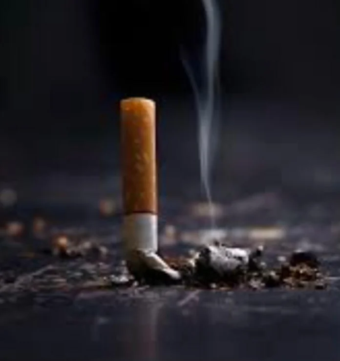 tobacco vs tobacco IS DIPPING TOBACCO A SAFE ALTERNATIVE TO SMOKING?